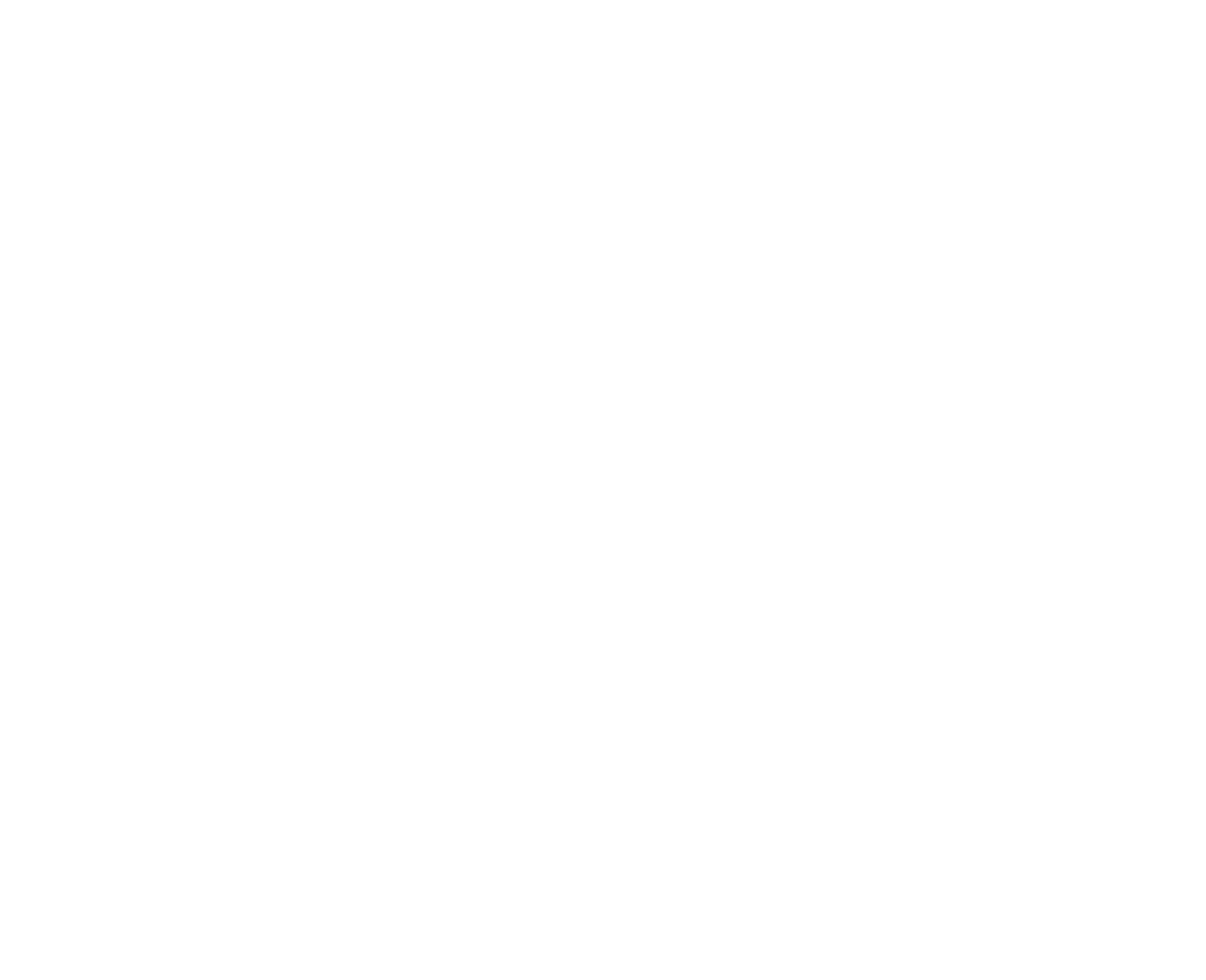Julien Ronot